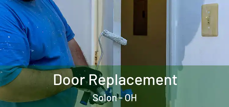  Door Replacement Solon - OH