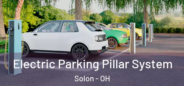  Electric Parking Pillar System Solon - OH