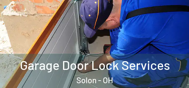  Garage Door Lock Services Solon - OH