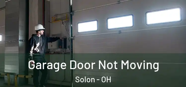  Garage Door Not Moving Solon - OH