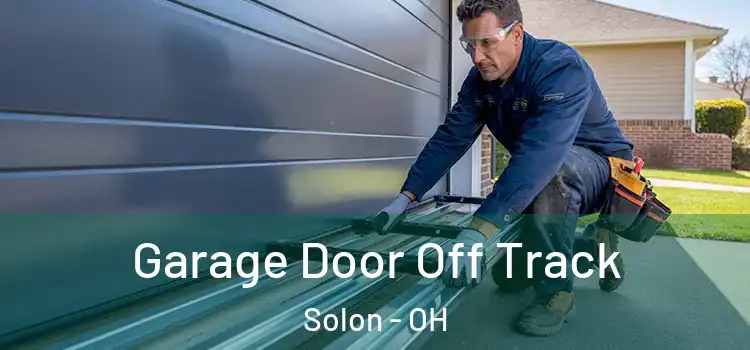  Garage Door Off Track Solon - OH