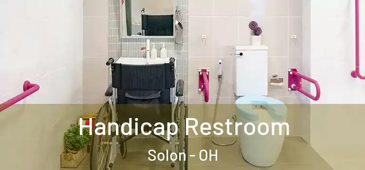  Handicap Restroom Solon - OH