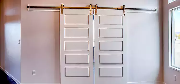 Glass Barn Door with Installation Hardware Kit Solon