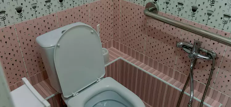Meeting Diverse Needs With Accessible Restroom Solutions in Solon, OH