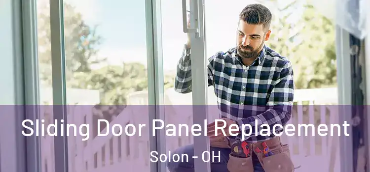  Sliding Door Panel Replacement Solon - OH
