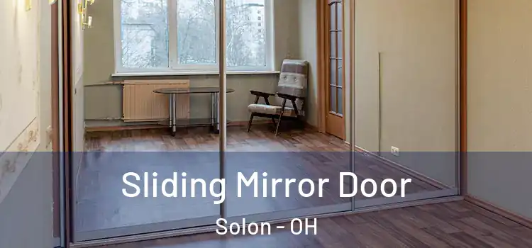  Sliding Mirror Door Solon - OH